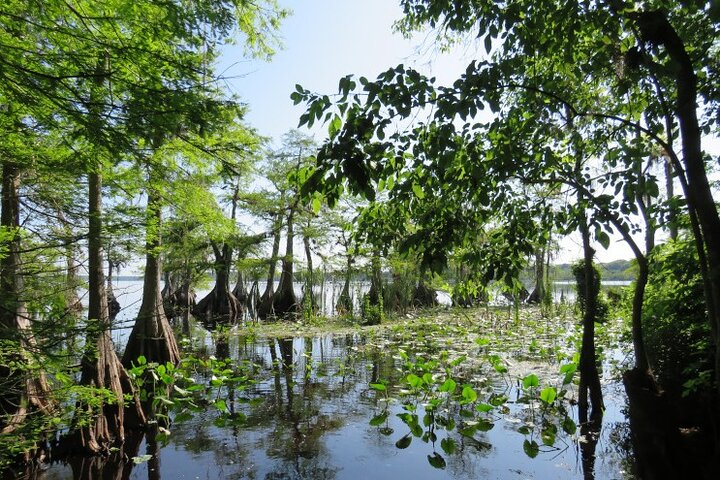 3 Hour Small Group Lake Norris Kayak Activity - Photo 1 of 15